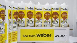 Keo Silicone Weber WA-100